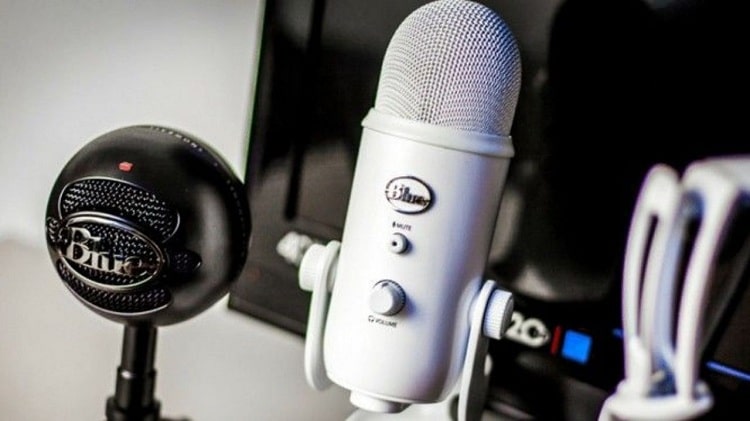 Setting Microphone di PC atau Laptop Windows 10 (Defenisi-Microphone)