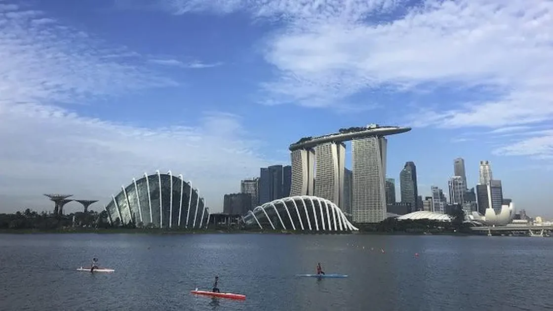 Singapura Tanggapi Pemangkasan Pasokan Gas Bumi Indonesia