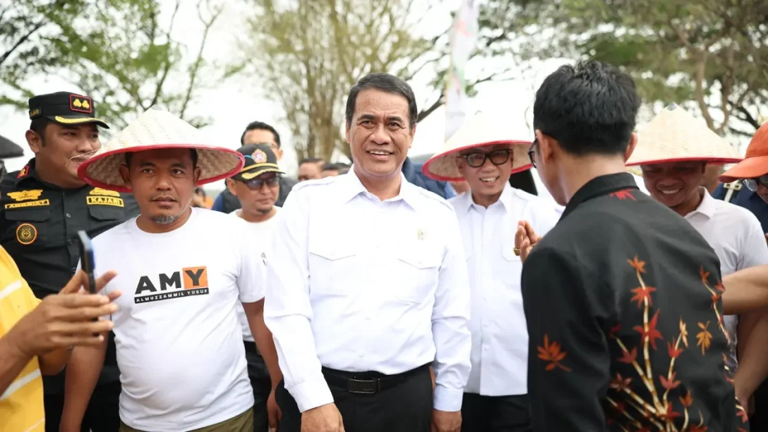 Harga Singkong Lampung Tembus Rp3.050, Petani Ucap Syukur