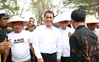 Harga Singkong Lampung Tembus Rp3.050, Petani Ucap Syukur