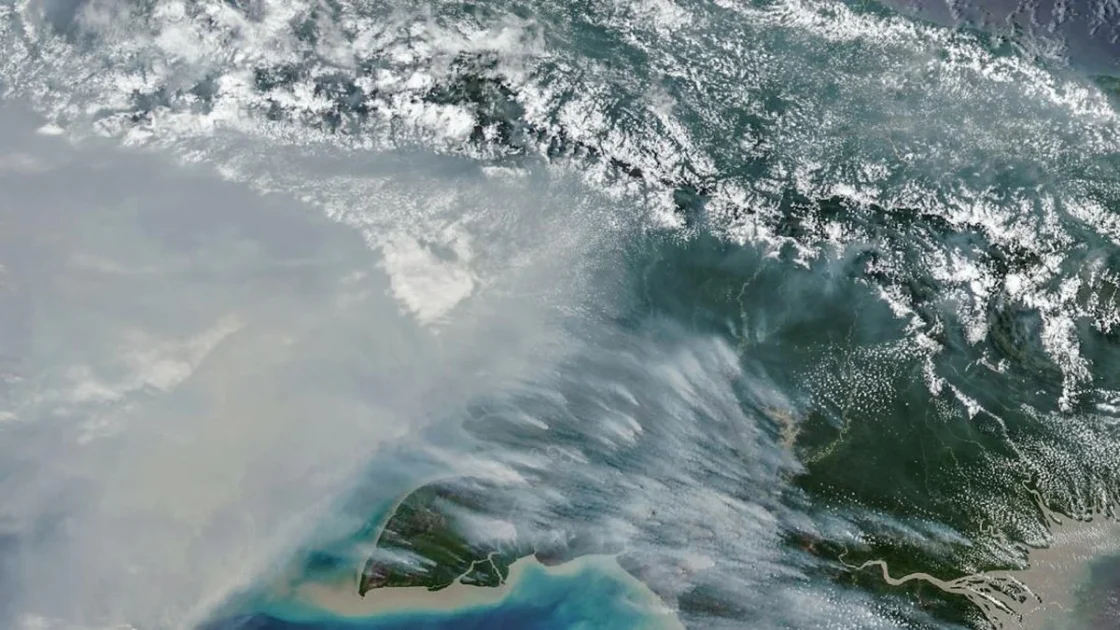 NASA Soroti Karhutla Papua, Lonjakan Emisi Cetak Rekor