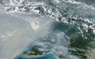 NASA Soroti Karhutla Papua, Lonjakan Emisi Cetak Rekor