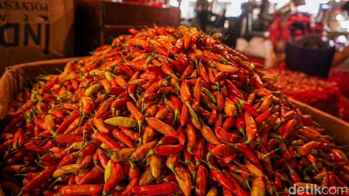 Harga Cabai Rawit Merah Masih Tinggi Tembus Rp 102 Ribu/Kg