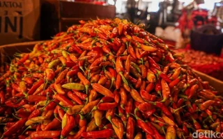 Harga Cabai Rawit Merah Masih Tinggi Tembus Rp 102 Ribu/Kg