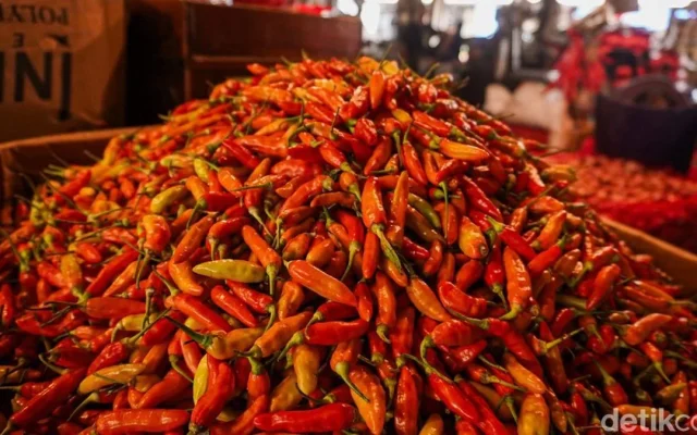 Harga Cabai Rawit Merah Masih Tinggi Tembus Rp 102 Ribu/Kg