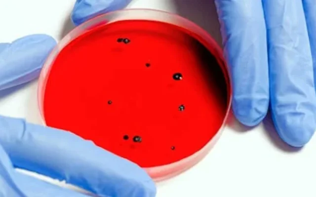 Startup Buat Virus AI dan Suntikkan ke Tubuh Manusia
