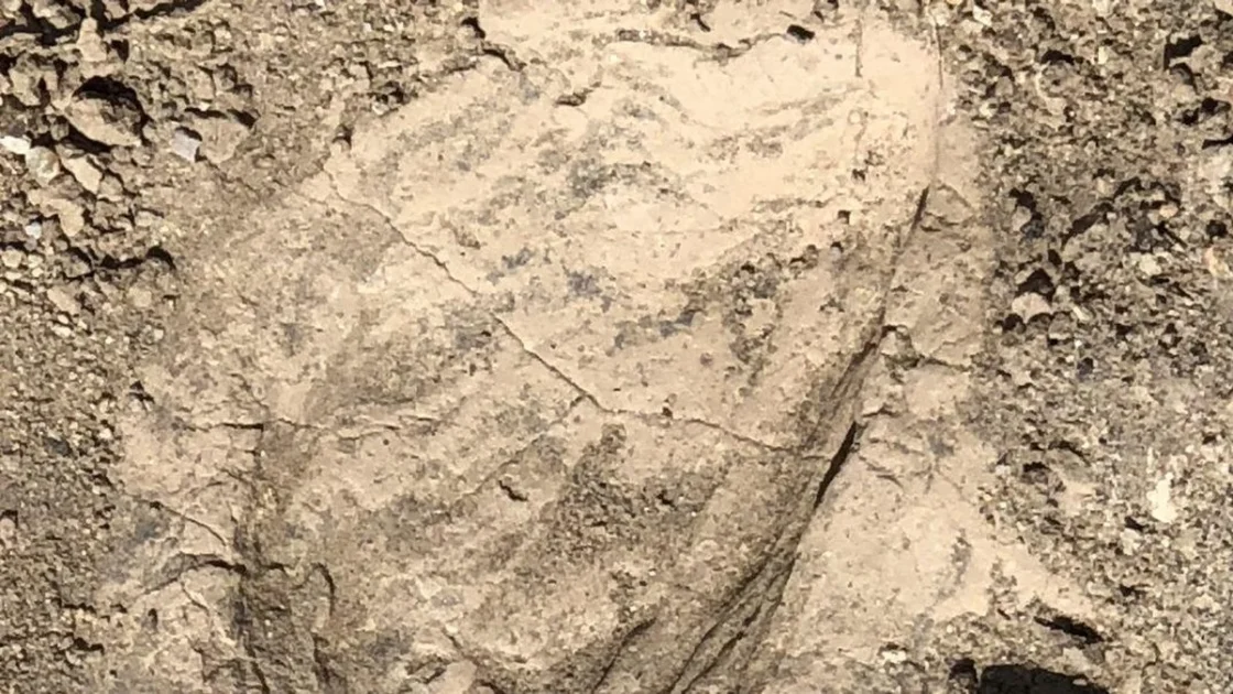 Fosil Ungkap Kawin Silang Manusia Modern dan Neanderthal