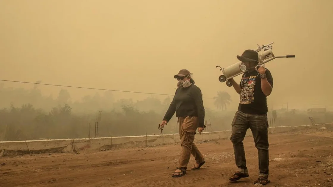 Kabut Asap Indonesia Ancam Serangga Penopang Minyak Sawit
