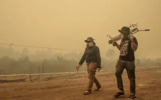 Kabut Asap Indonesia Ancam Serangga Penopang Minyak Sawit