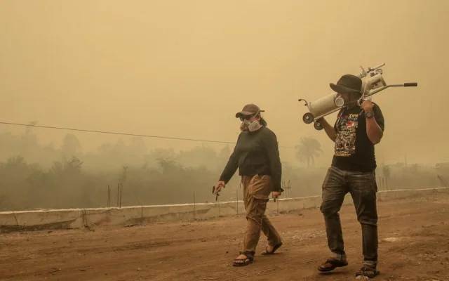 Kabut Asap Indonesia Ancam Serangga Penopang Minyak Sawit