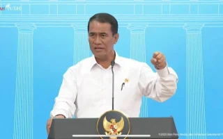 Mentan Laporkan 500 Ribu Hektare Lahan Rawa Jadi Sawah ke Prabowo