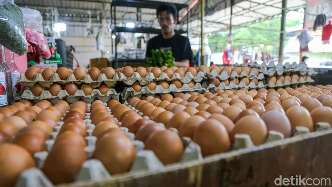 Mentan Ungkap Anomali Harga Telur: Stok Melimpah, tapi Naik