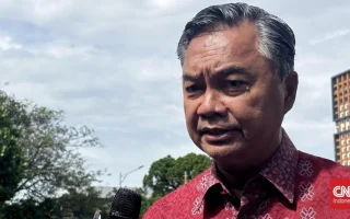Pesan Eks Wamenlu soal Status Pasar Modal RI di MSCI