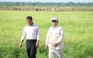 Prabowo Minta Mentan Tak Buka Hutan Primer untuk Lahan Pangan