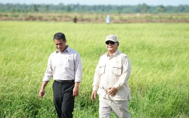 Prabowo Minta Mentan Tak Buka Hutan Primer untuk Lahan Pangan