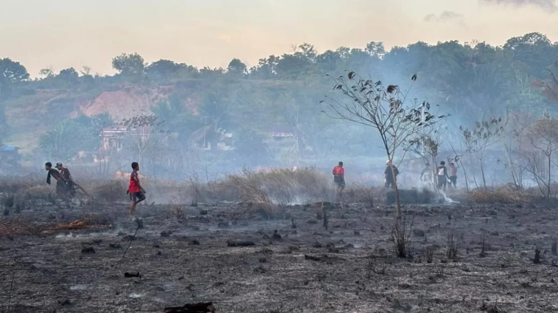 NASA Ungkap Data Kebakaran Hutan Parah di Papua