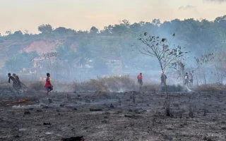 NASA Ungkap Data Kebakaran Hutan Parah di Papua