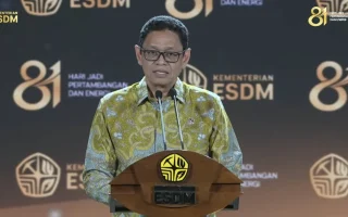 Wamen ESDM: Transformasi Energi RI Berada di Jalur Tepat